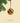Dazz - Christmas Decoration - PERSPECTRY