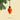 Glo - Christmas Decoration - PERSPECTRY