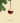 Holly - Christmas Decoration - PERSPECTRY