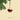 Holly - Christmas Decoration - PERSPECTRY