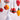 Holly - Christmas Decoration - PERSPECTRY