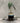 MIDNIGHT - PERSPECTRY