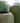 MOSS - PERSPECTRY