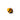 Newbee - PERSPECTRY