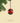 Pop - Christmas Decoration - PERSPECTRY
