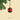 Pop - Christmas Decoration - PERSPECTRY