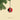 Ribbon - Christmas Decoration - PERSPECTRY